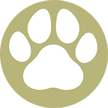 Dog Park