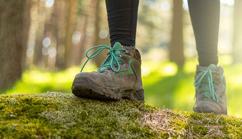 person walking through the forest in nature
